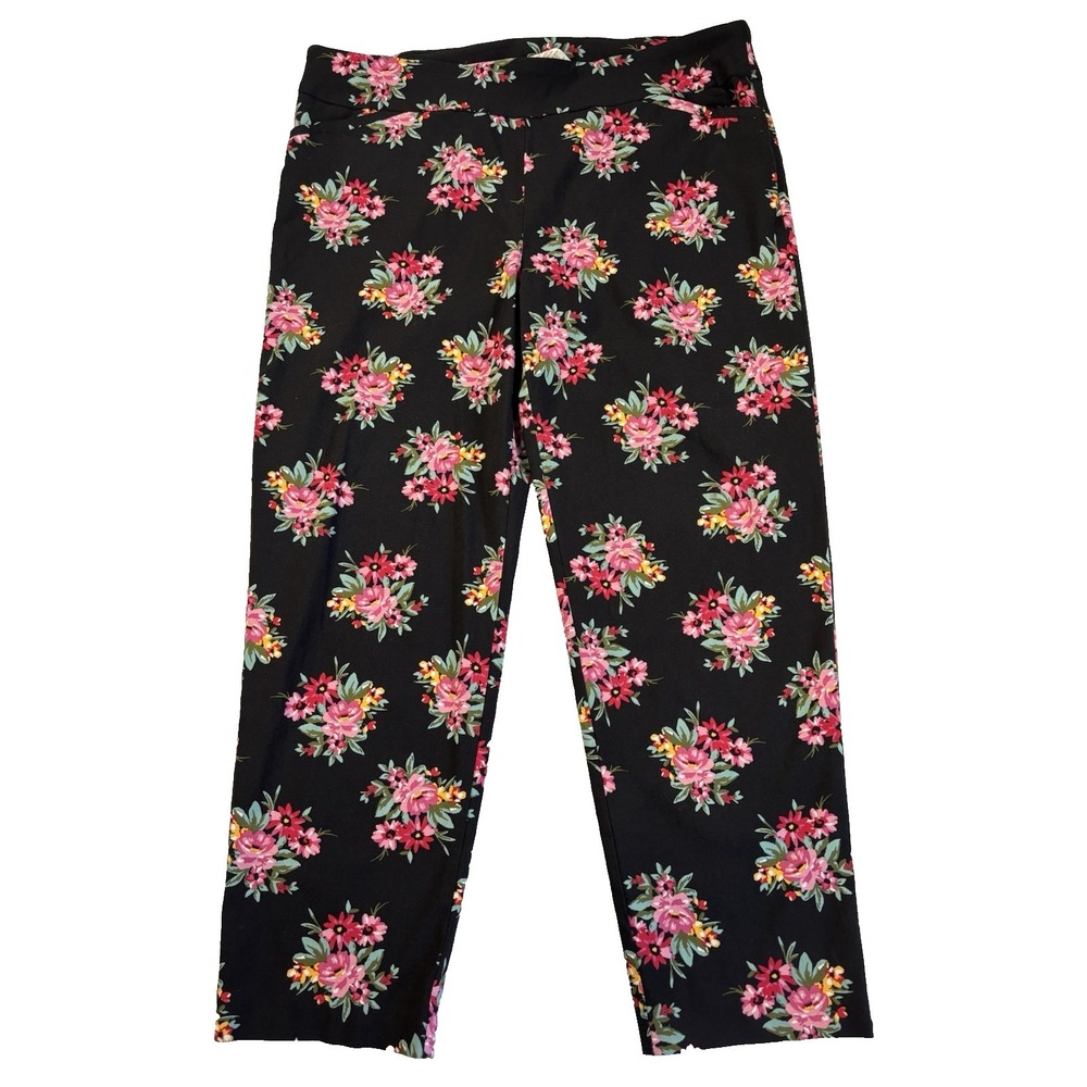 Terra & Sky Women's 1X Floral Ankle Pants Sexy Bloomcore BOHO Career Preppy